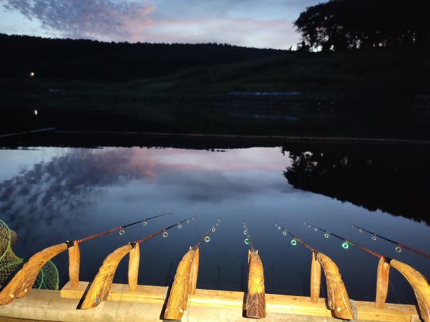 早上在湖里钓鱼图片下载