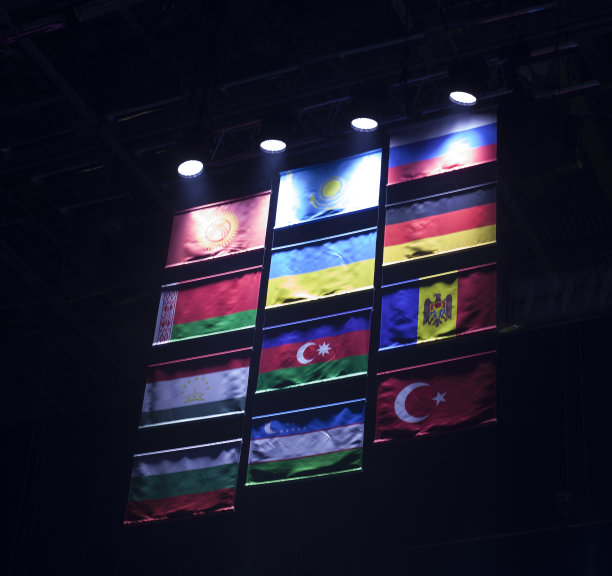 许多国家的国旗画在墙上挂着。图片下载