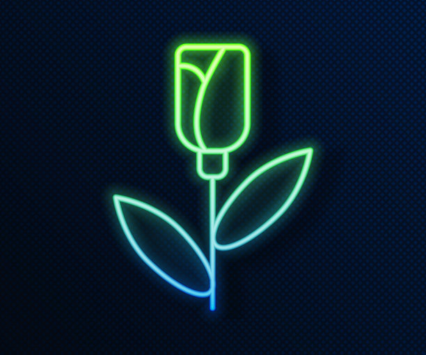 发光的霓虹灯线花玫瑰图标孤立在蓝色背景。向量图片下载