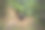 在中美洲驾驶4x4自行车的游客图片下载