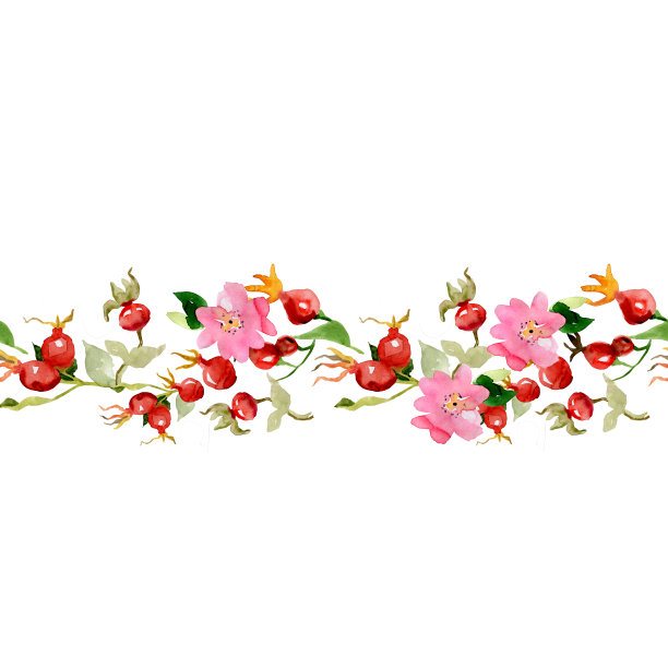 水彩花朵无缝图案边界玫瑰果浆果花叶图片下载