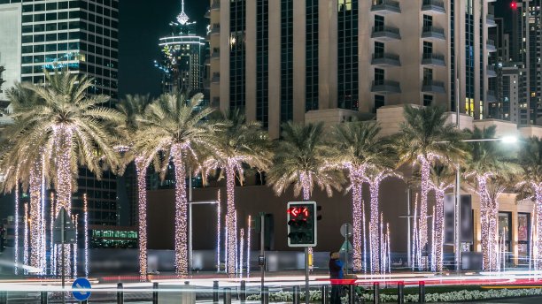 迪拜城市夜景照明交通道路路口4K延时摄影阿联酋图片下载