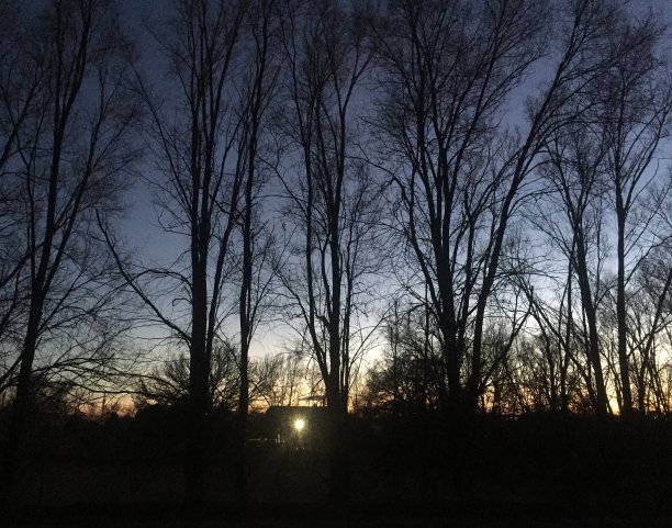 森林之家图片下载