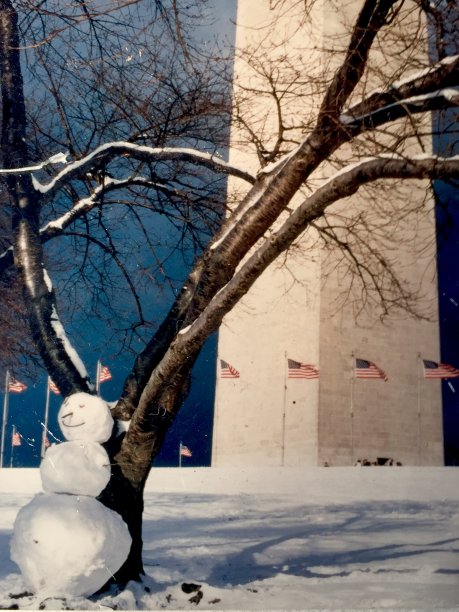 华盛顿纪念碑图片下载