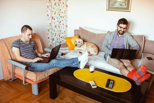 呆在家里，在家里工作图片下载