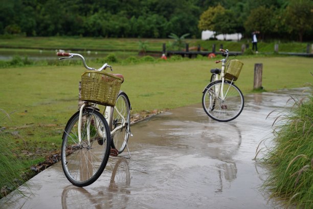 自行车停放在绿色花园的湿路上图片下载
