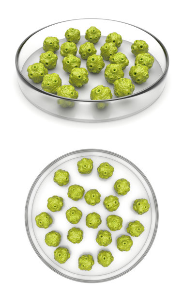 有细菌的玻璃培养皿图片下载