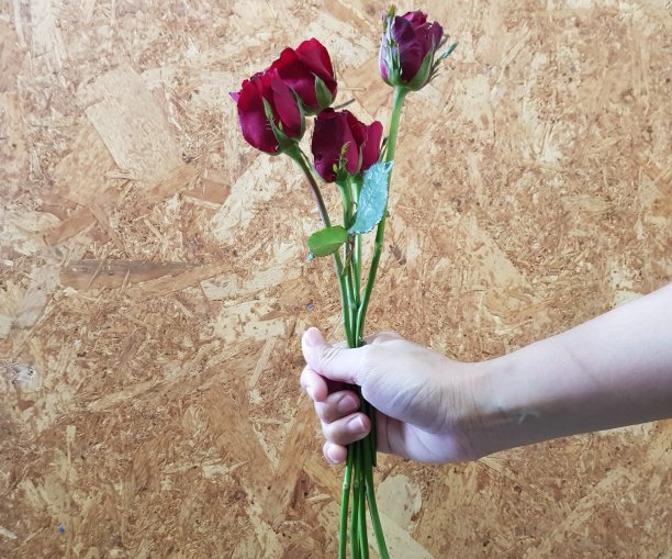 手捧一束玫瑰，以木纹为背景。图片下载