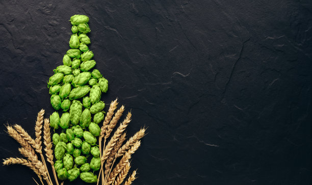 啤酒的概念。啤酒厂加工的天然成分-啤酒花球果和麦穗。啤酒瓶形状的图案。啤酒节想法板与复制空间。图片下载