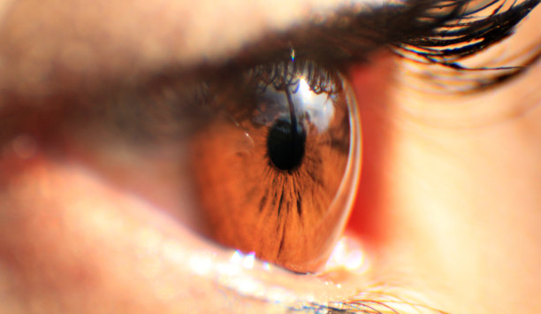 一张棕色眼睛的放大照片图片下载