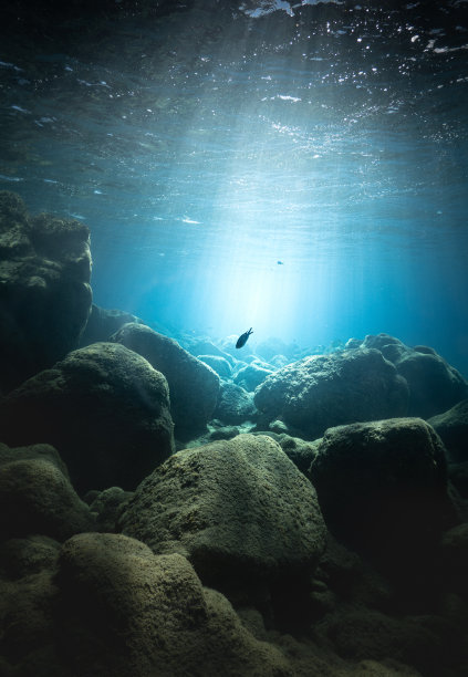 水下石头的特写镜头图片下载