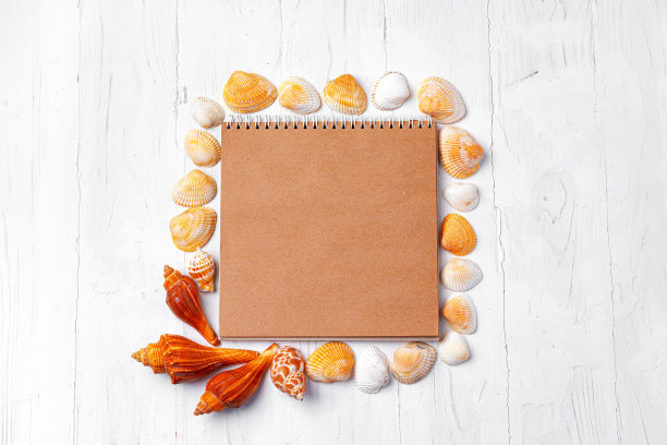 打开笔记本与海贝在白色的木制背景图片下载