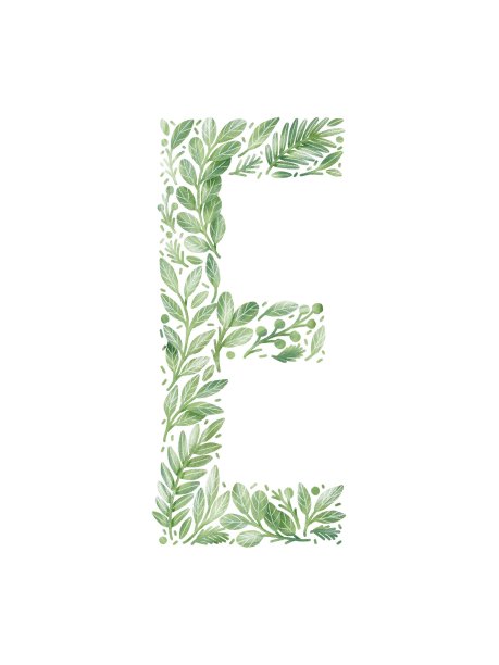 由绿叶制成的字母E。印花字母E。图片下载