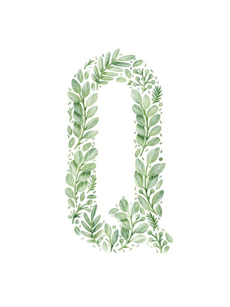 由绿叶制成的字母Q。花字母Q。图片下载