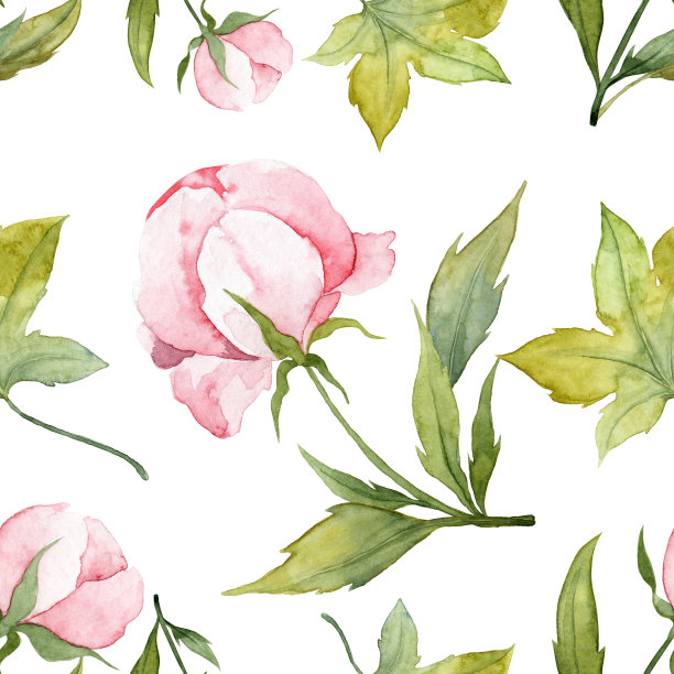 水彩无缝图案与叶和牡丹芽图片下载