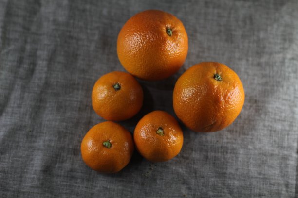 橙色和橘子特写在灰色的背景图片下载