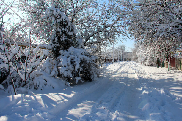 乡村街道的冬季景观。树在雪帽。雪的路径。图片下载