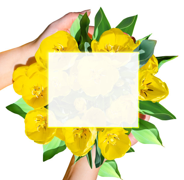 母亲节的花束边框。图片下载