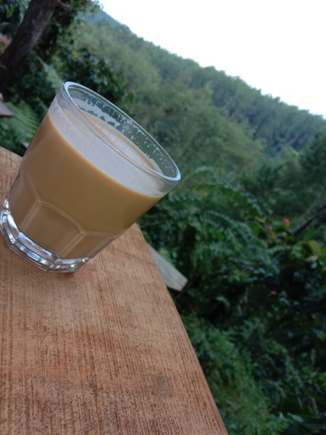 咖啡森林图片下载