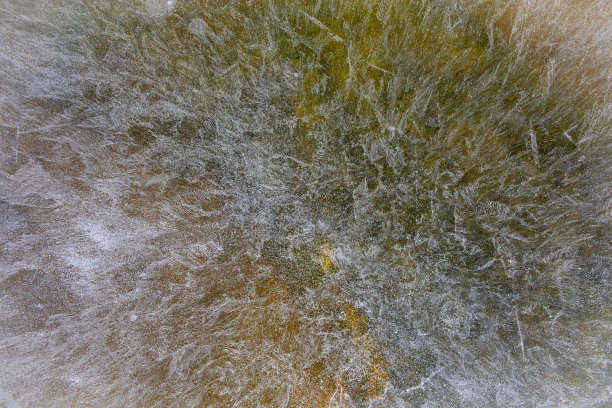 结冰的湖冰图片下载