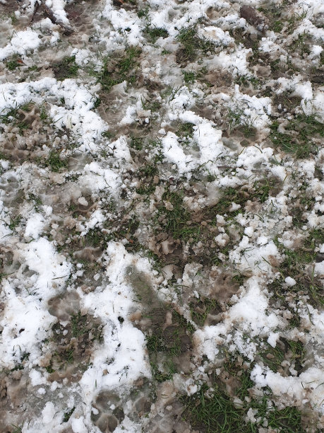 雪泥铺在道路和小路上图片下载