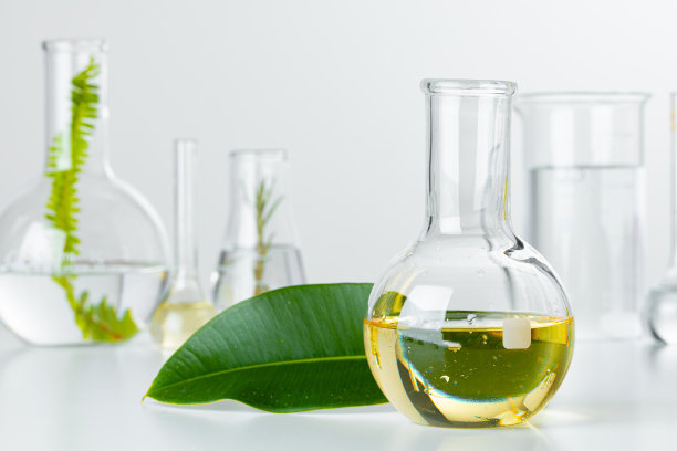 实验室玻璃器皿中的植物。护肤产品及药物化学研究概念图片下载