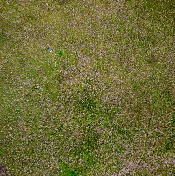 草带一个人放松图片下载