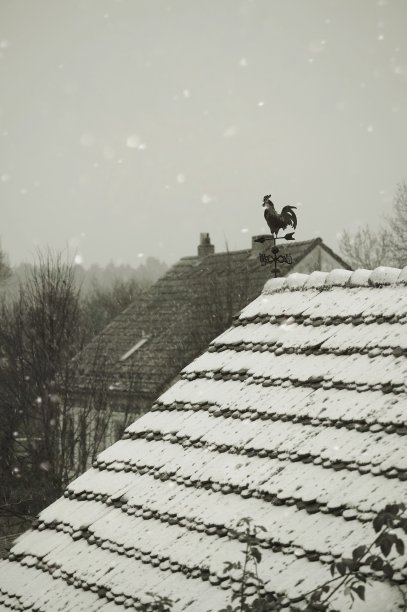 冬天的印象图片下载