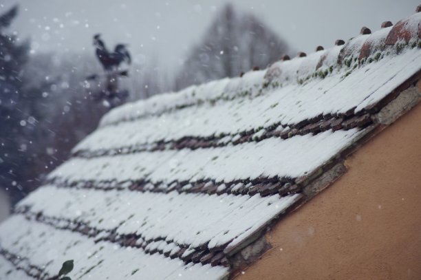 冬天的印象图片下载