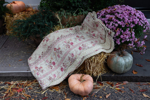 户外秋季展示与彩色南瓜在纽约城市花园图片下载