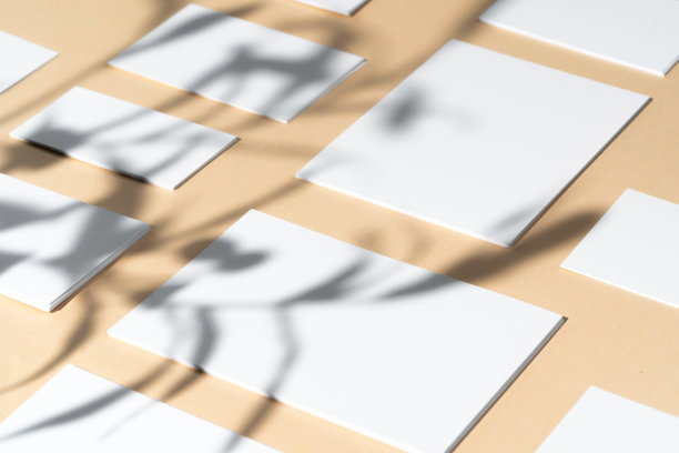 创意照片与花卉阴影的白色名片在米色背景图片下载