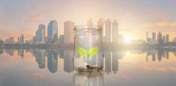 商业投资和省钱的概念，投资者硬币堆叠和绿色植物生长在硬币罐中与储蓄的钱在照片模糊的城市景观在阳光背景。图片下载