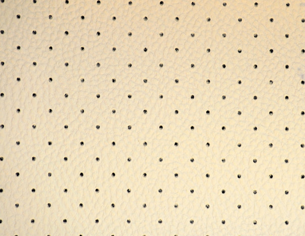 浅米色带特色图案的穿孔皮革碎片。图片下载