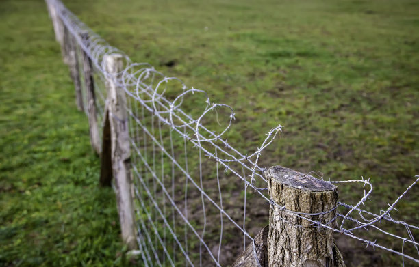 铁丝网移民图片下载