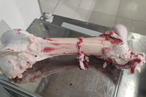 危机的概念。大块骨头中间的一小块肉。粮食危机，库存粮食短缺图片下载