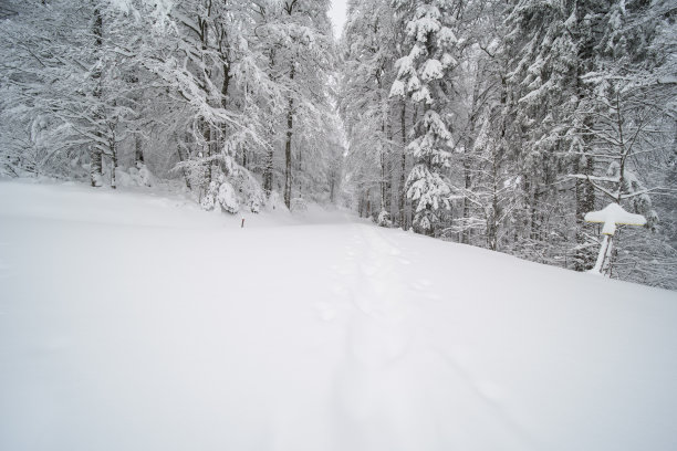 冬天走了图片下载