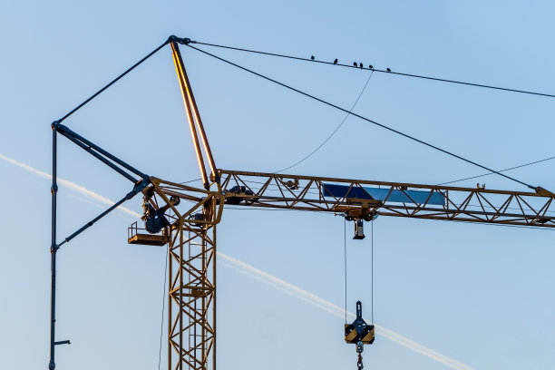 以蓝天为背景的鹤图片下载