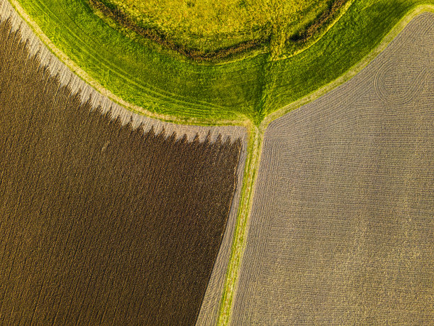 农业艺术图片下载