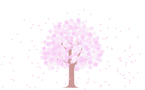 樱花树在暴风雪中盛开，插图素材图片下载