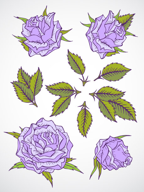 设置玫瑰和叶子图片下载