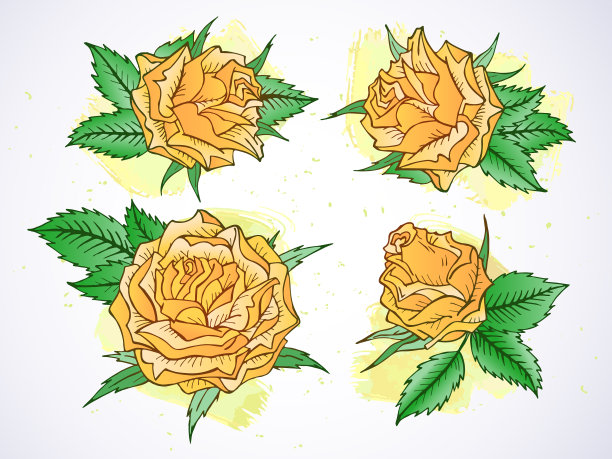 设置玫瑰和树叶与水彩元素图片下载