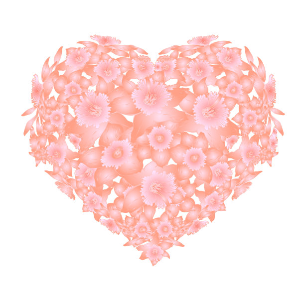 心从白底水仙花中分离出来。图片下载