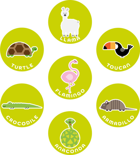 南美野生动物收藏套装7套图片下载