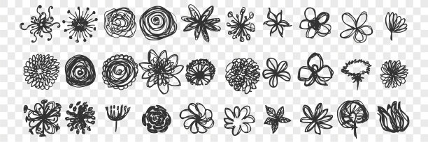 手绘花卉涂鸦集图片下载
