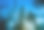 海景，海草生长在叶山海岸的浅水图片下载