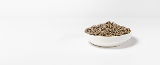 在白色背景的盘子中为兔子提供的复合饲料。兔粮，平衡宠物粮。肉兔的食物。文本的地方图片下载