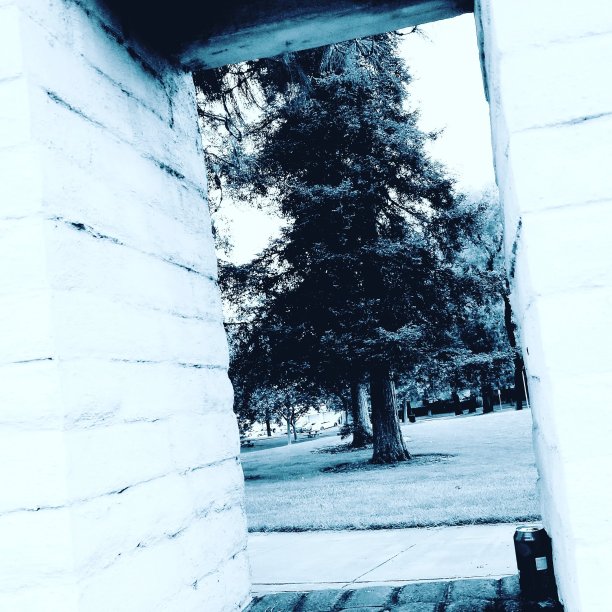 北加州的框架视图图片下载