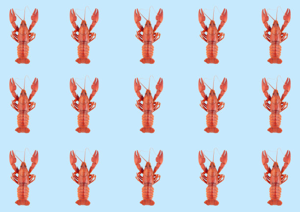 图案与红色小龙虾在蓝色的背景，水平，俯视图图片下载