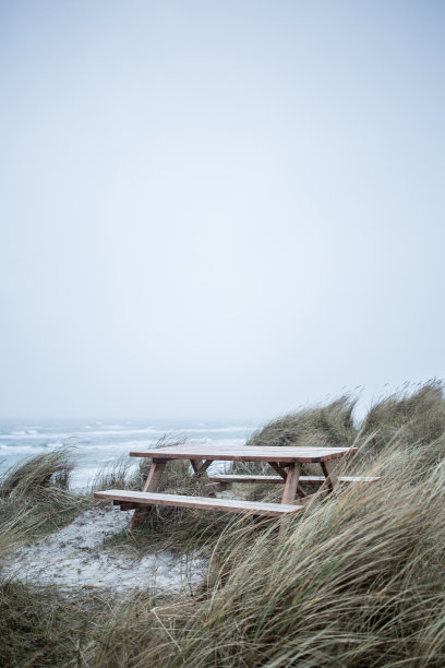 在海滩上等待图片下载