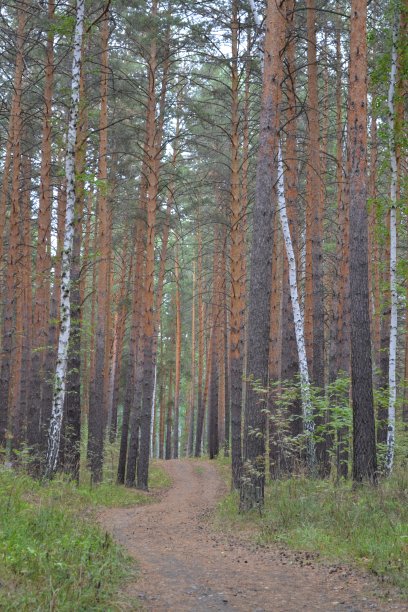 在未知的路径上图片下载